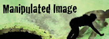 Manipulated Image - Los Angeles